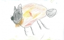 <p>Wiktoria</p>