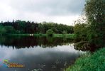 Przyroda